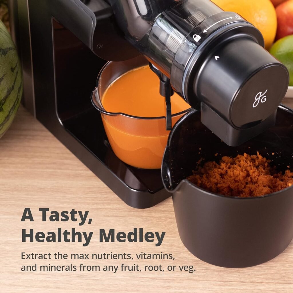 Greater Goods Slow Masticating Juicer, Easy to Clean Cold Press Juicer Machine, A Powerful Juice Extractor for Healthy and Delicious Fruit and Vegetable Juices, Designed in St. Louis